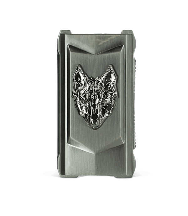 SnowWolf Mfeng 200W Mod